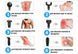 Масажний пістолет EasyFit Percussio (портативний перкусійний вібромасажер для тіла з 6 насадками) 297481 фото 3